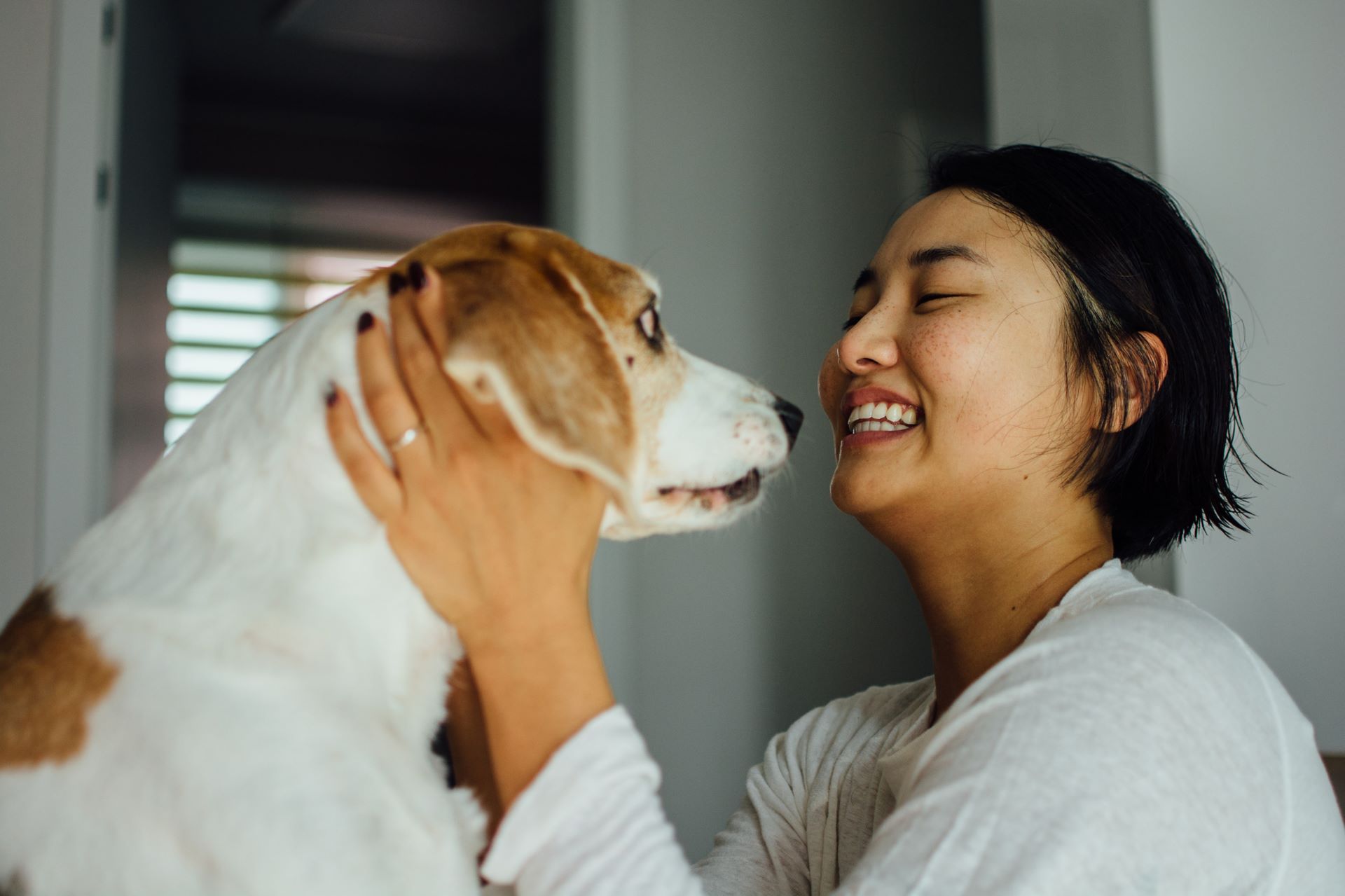 happy korean girl hang out with her dog hero pet concierge canva